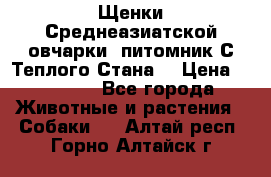 Щенки Среднеазиатской овчарки (питомник С Теплого Стана) › Цена ­ 20 000 - Все города Животные и растения » Собаки   . Алтай респ.,Горно-Алтайск г.